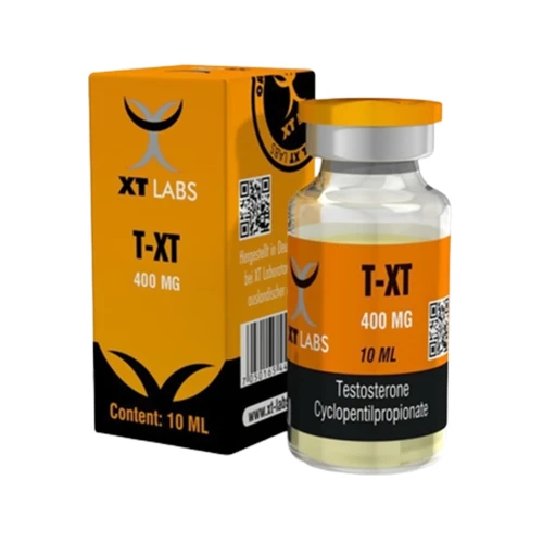 T-XT-XT